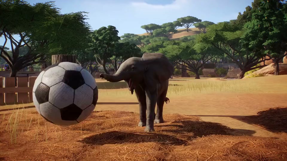 Planet Zoo — Gamescom Trailer, Adam Broder